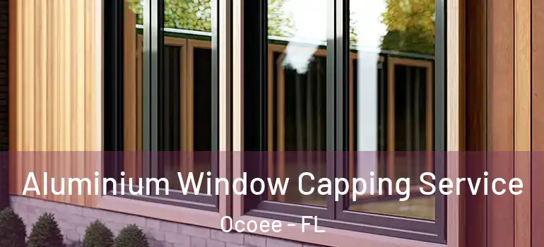 Aluminium Window Capping Service Ocoee - FL