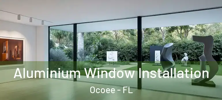 Aluminium Window Installation Ocoee - FL