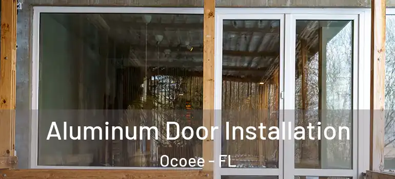 Aluminum Door Installation Ocoee - FL