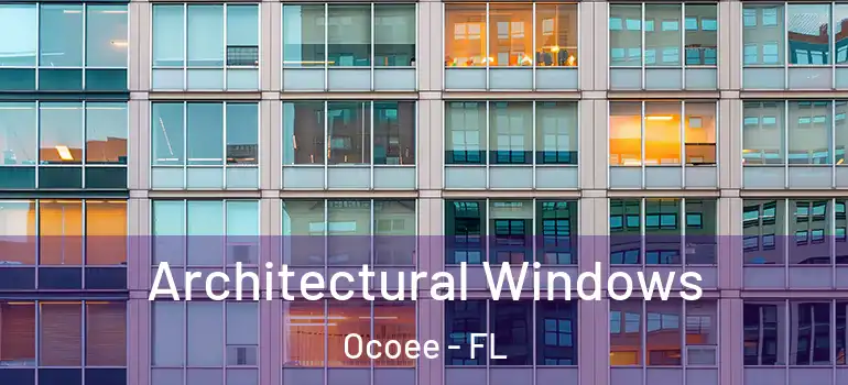Architectural Windows Ocoee - FL