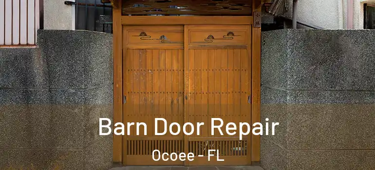 Barn Door Repair Ocoee - FL
