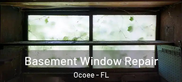 Basement Window Repair Ocoee - FL