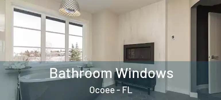 Bathroom Windows Ocoee - FL
