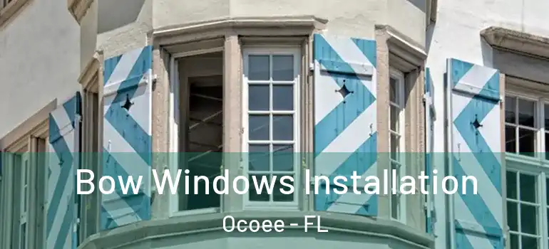 Bow Windows Installation Ocoee - FL