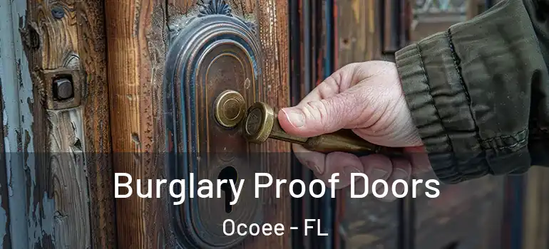 Burglary Proof Doors Ocoee - FL