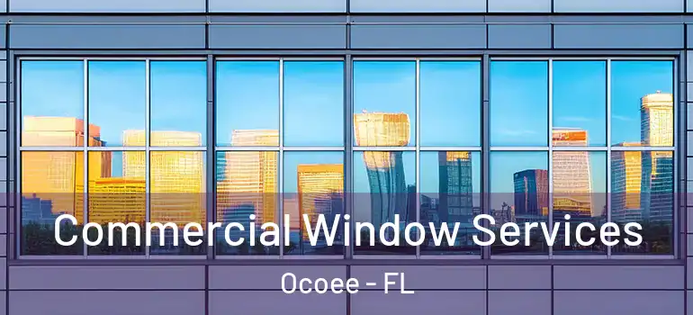 Commercial Window Services Ocoee - FL