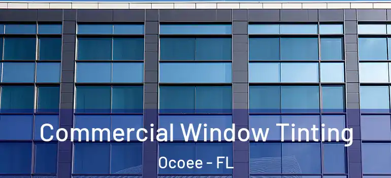 Commercial Window Tinting Ocoee - FL