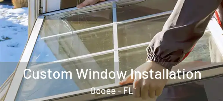 Custom Window Installation Ocoee - FL