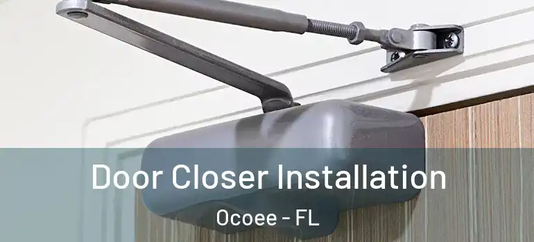  Door Closer Installation Ocoee - FL