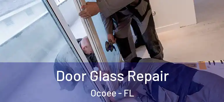 Door Glass Repair Ocoee - FL