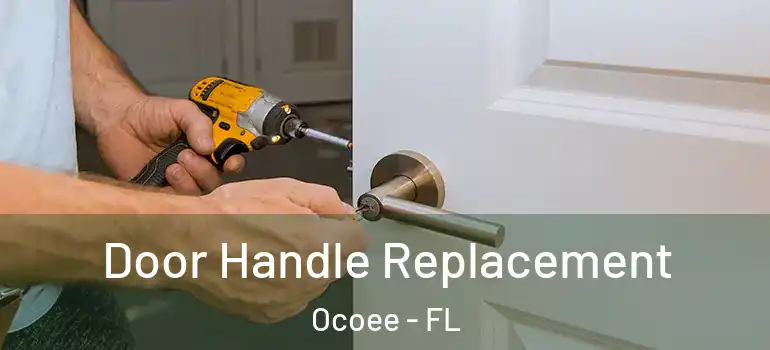 Door Handle Replacement Ocoee - FL