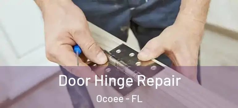 Door Hinge Repair Ocoee - FL