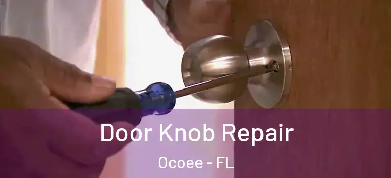 Door Knob Repair Ocoee - FL