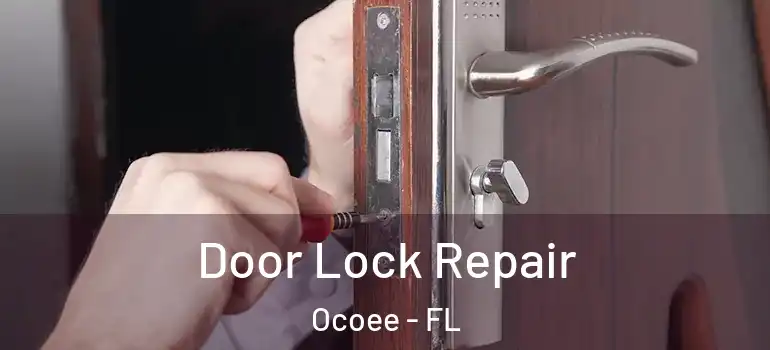 Door Lock Repair Ocoee - FL