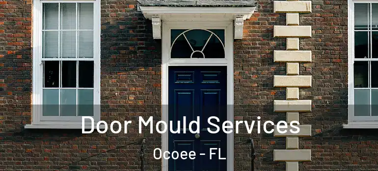 Door Mould Services Ocoee - FL