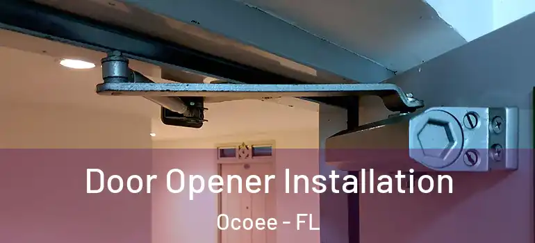  Door Opener Installation Ocoee - FL