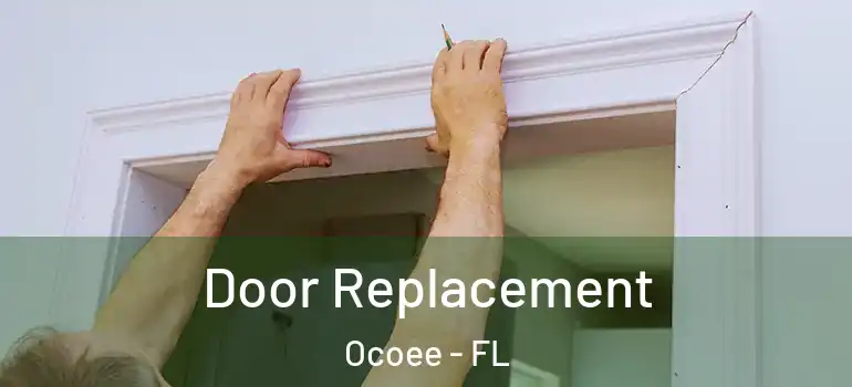  Door Replacement Ocoee - FL