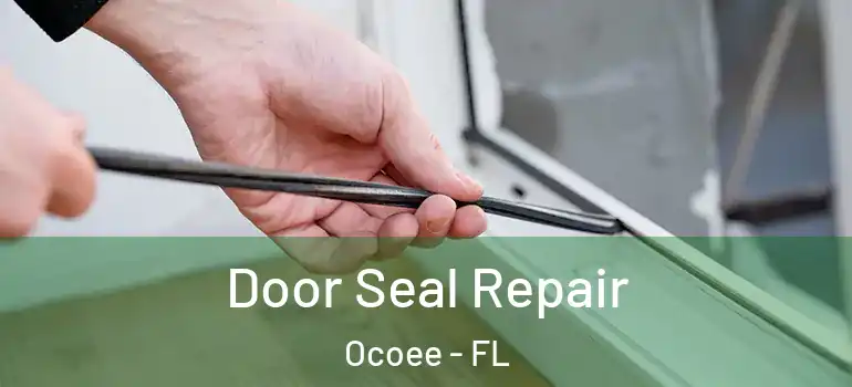 Door Seal Repair Ocoee - FL