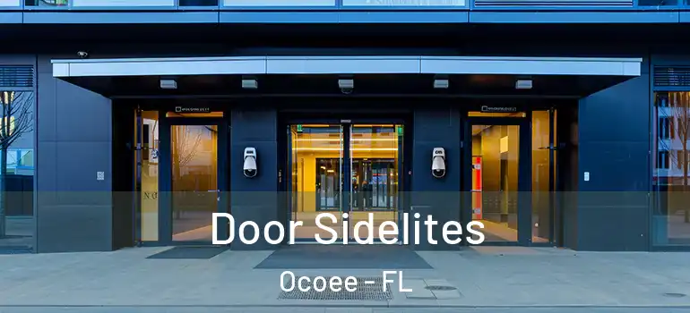Door Sidelites Ocoee - FL