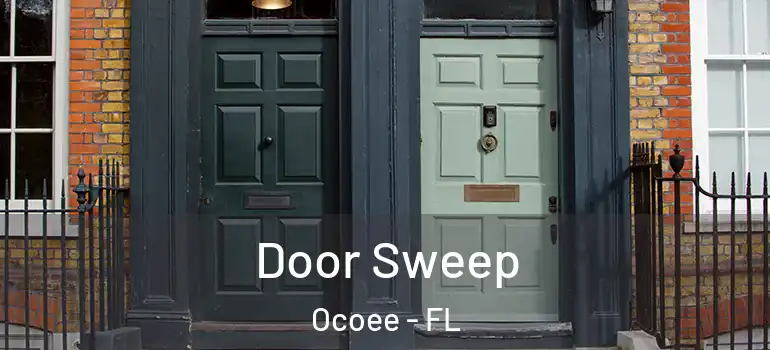  Door Sweep Ocoee - FL
