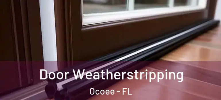 Door Weatherstripping Ocoee - FL