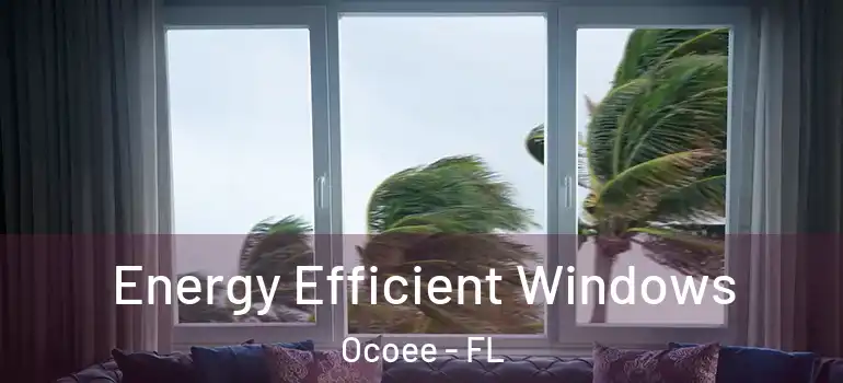 Energy Efficient Windows Ocoee - FL