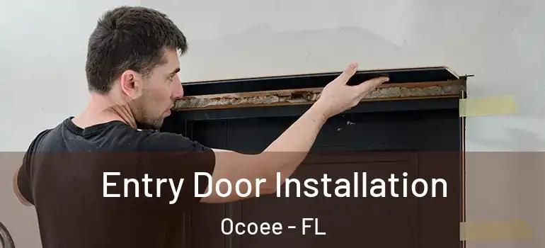 Entry Door Installation Ocoee - FL