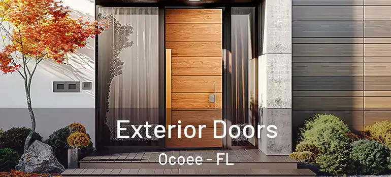Exterior Doors Ocoee - FL