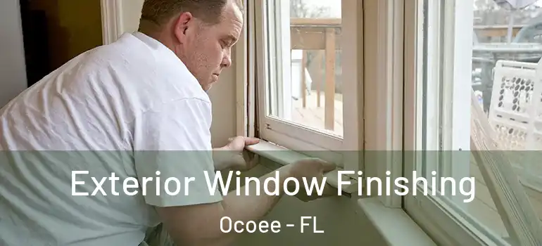 Exterior Window Finishing Ocoee - FL
