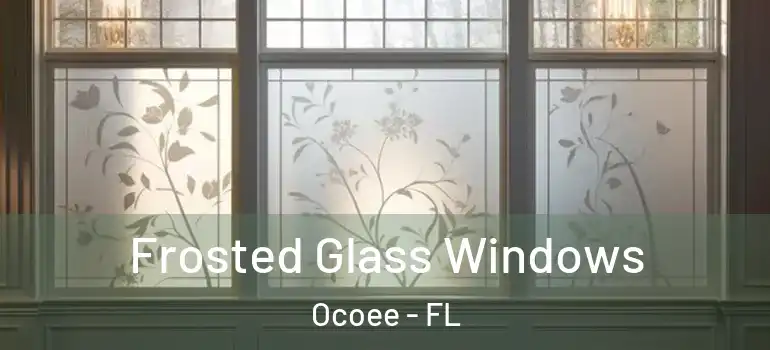 Frosted Glass Windows Ocoee - FL
