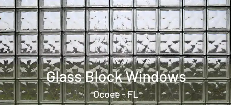 Glass Block Windows Ocoee - FL