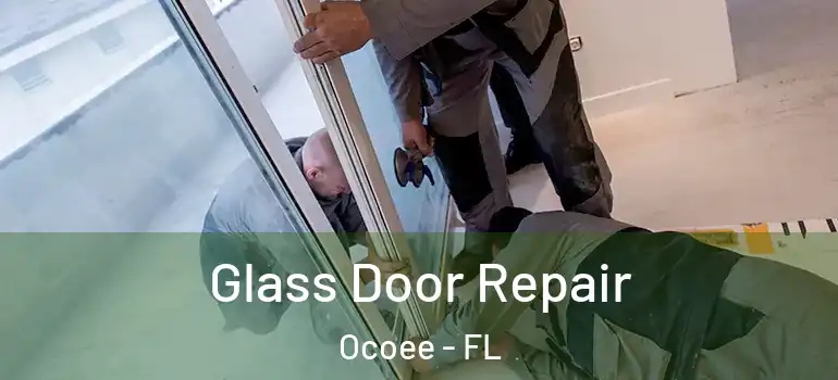 Glass Door Repair Ocoee - FL