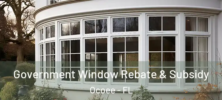  Government Window Rebate & Subsidy Ocoee - FL