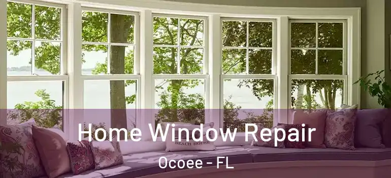 Home Window Repair Ocoee - FL