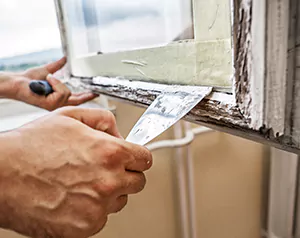 Professional Door and Windows Installation in Ocoee, FL