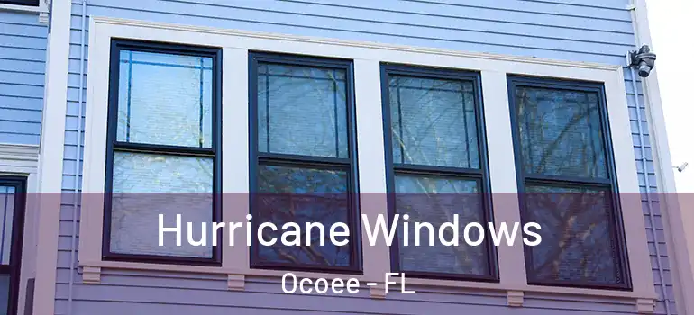 Hurricane Windows Ocoee - FL