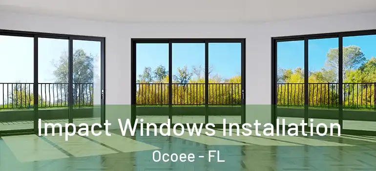 Impact Windows Installation Ocoee - FL