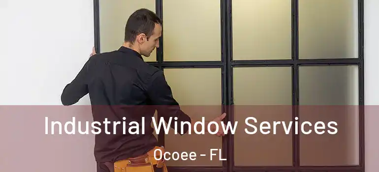 Industrial Window Services Ocoee - FL