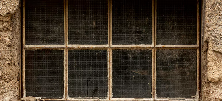 Traditional Double Front Doors in Ocoee, FL