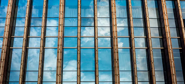 Professional Window Tinting Services in Ocoee, FL