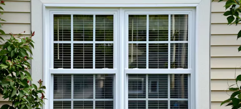Custom Double Hung Windows in Ocoee, FL