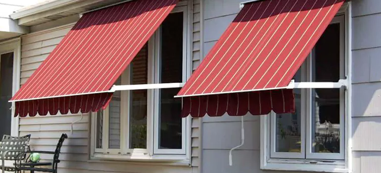 Government Rebate Window Replacement in Ocoee, FL