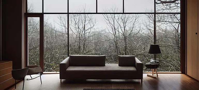 Casement Picture Window in Ocoee, FL