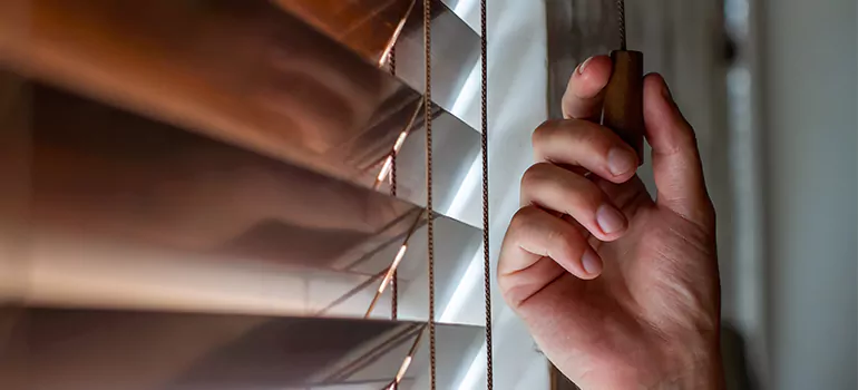 Double Roller Blinds in Ocoee, FL