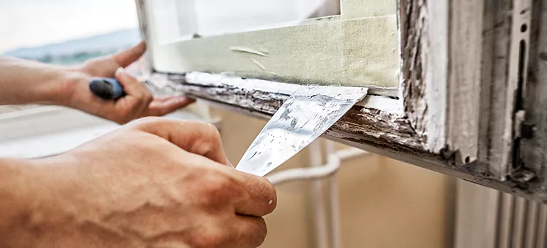 Exterior Window Frame Repair in Ocoee, FL