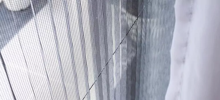 Fixing Screen Window Mesh in Ocoee, FL
