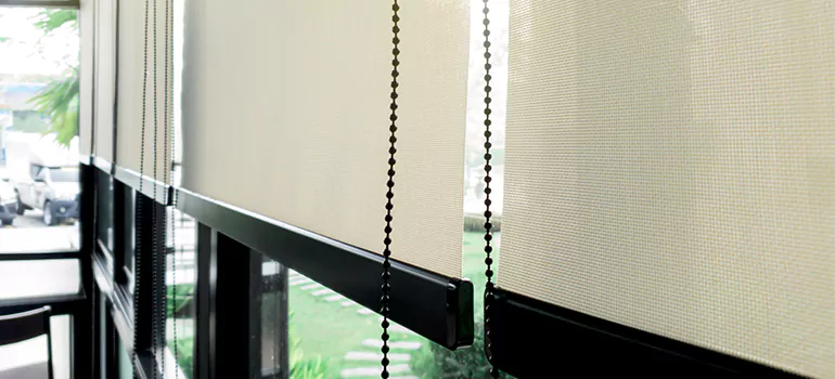 Blackout Window Shades in Ocoee, FL