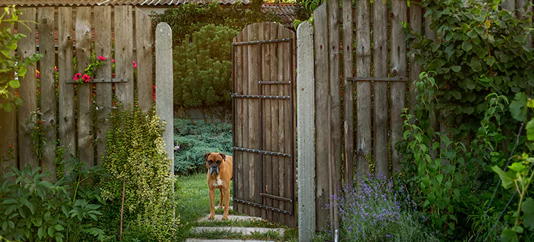 Winter Garden Garage Door Repair in Ocoee,[location field=state]