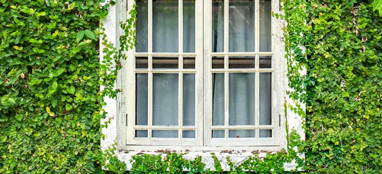 Garden Window Repair Near Me in Ocoee, FL