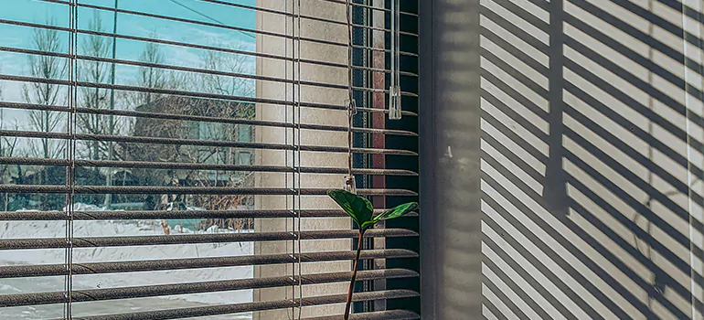 Commercial Window Blinds in Ocoee, FL